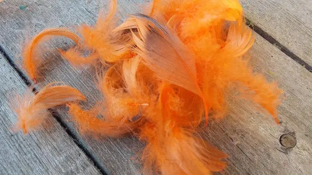 Декоративные перья Оранжевые