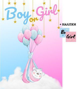 Плакат на день народження "Гендерна вечірка" +наліпки Girl/Boy 85х120 см